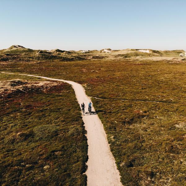 Cycling along the North Sea