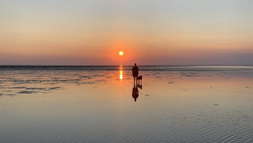 Vadehavet ved solnedgang