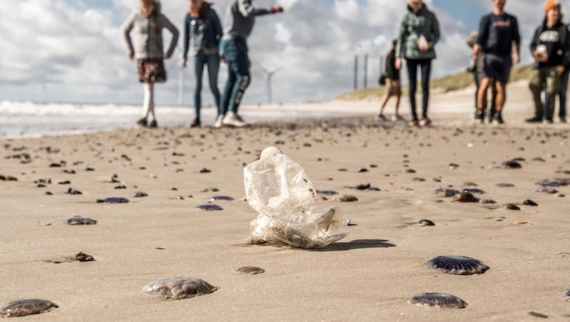 Omhu strandrensing i Hvide Sande i Danmark