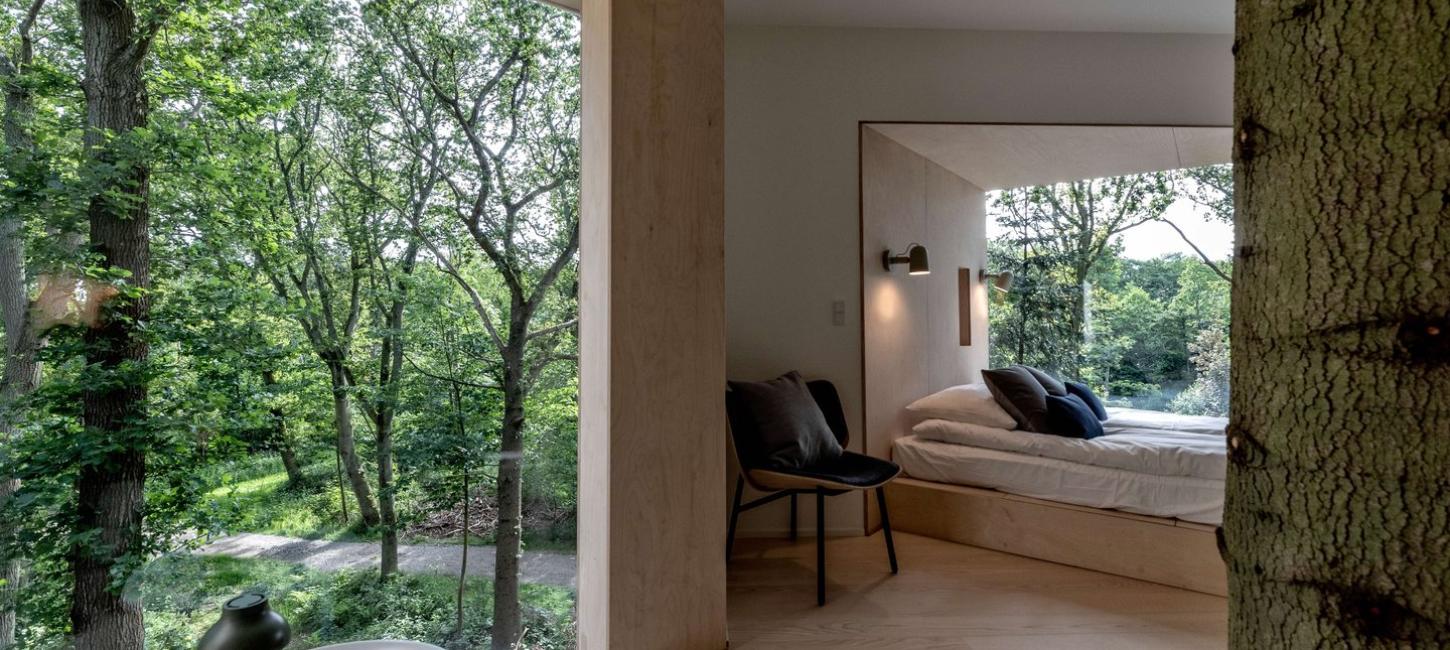 Utsikten fra innsiden av Løvtag Tretopphotell