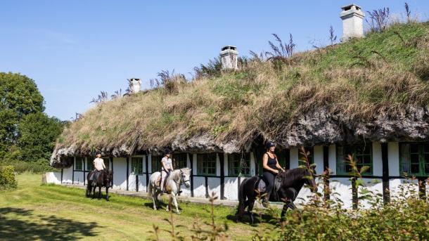 Eine Gruppe Reiter auf der Insel Læsø, Dänemark