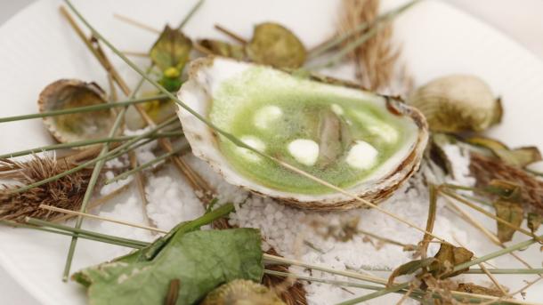 De beste oesters en mosselen? Je vindt ze op deze vakantiebestemming!! 