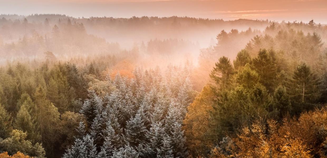 Wandelvakantie? Ontdek wandelmekka Rebild, Denemarken