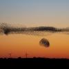 Natur phenomenon Black Sun in South Jutland, Denmark