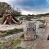 Een jongetje wandelt voorbij de ijstijdmarkering bij Brorfelde Observariet in Denemarken 