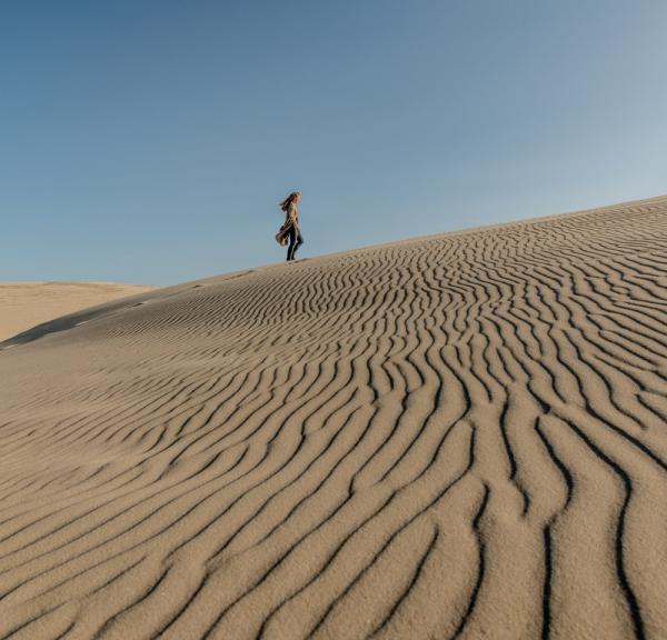 Wandelende duinen van Råbjerg Mille