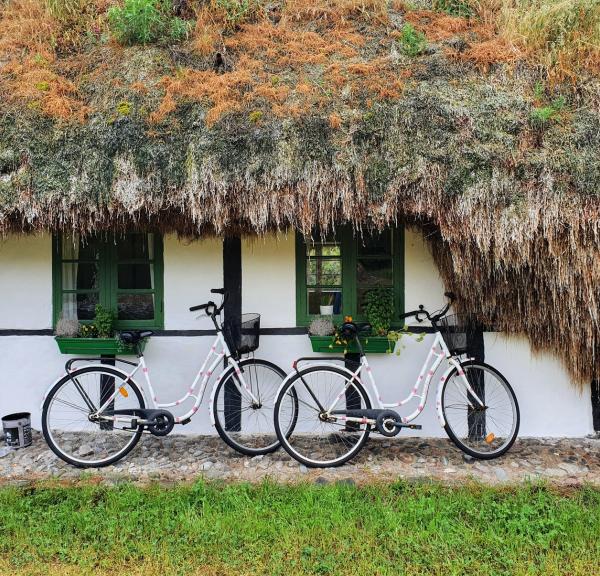Tanghaus auf der Insel Laeso in Dänemark
