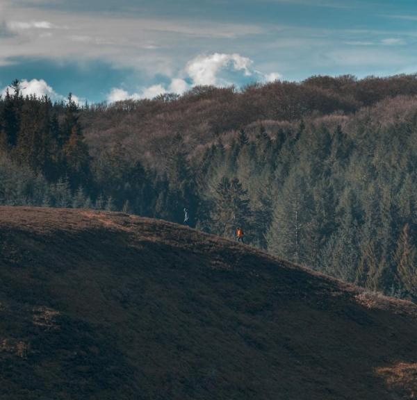 Denemarken vlak? Ontdek deze heuvels uit de IJstijd in Rebild