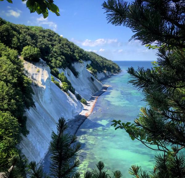 Møns klint i sydsjælland i Danmark