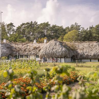 Wandelaars passeren een traditioneel huis op Læsø met een zeewierdak