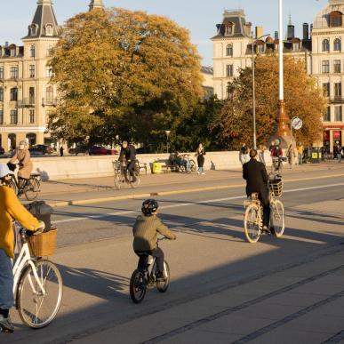 Sykler på Dronning Louises bro i København på høsten