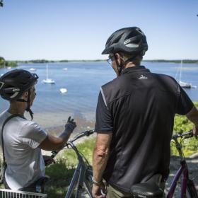 People cycling near Boserup Forrest at Fjordlandet