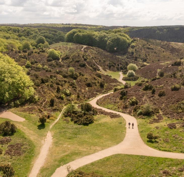 Drone shot of people hiking in Rebild Bakker, Nordjylland